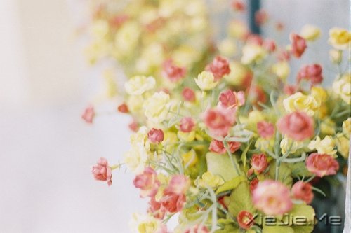 ��Ҫ������ң�ֻ�󰲰����� (7)