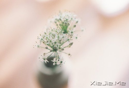 每个人都有自己的人生,冷暖自知 (3)