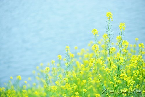 ���죬���ǿ��ƣ����ǿ��� (9)