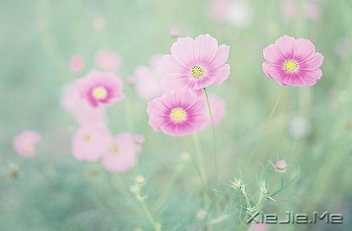 因为知足,所以更接近幸福 (1)