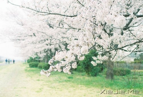 因为知足,所以更接近幸福 (8)