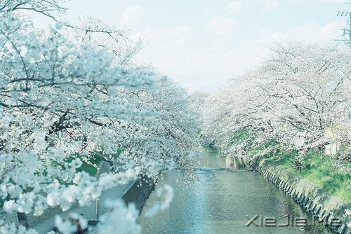 因为知足,所以更接近幸福 (9)