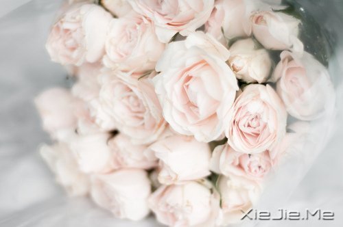 时光如此珍贵,只是我们一去不回 (3)