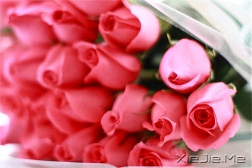 时光如此珍贵,只是我们一去不回 (5)