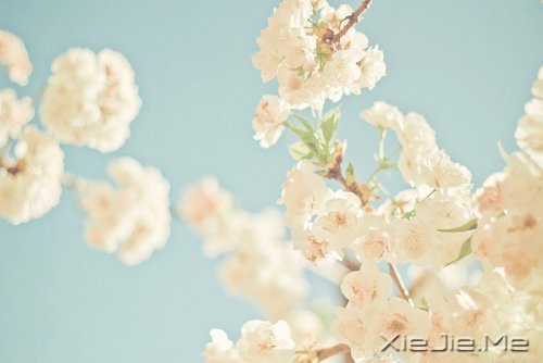 生一分钟气,就失去了60秒的快乐 (7)