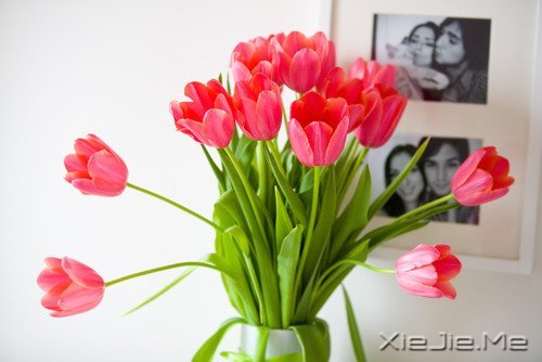 生一分钟气,就失去了60秒的快乐 (9)