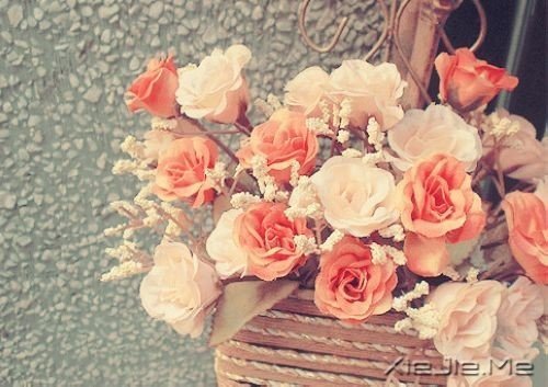 找一个属于自己的地方,在眼泪中懂得遗忘的伤 (3)