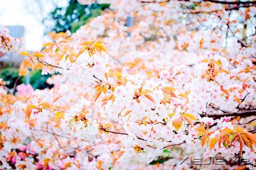 ֻҪ���Ĳ��ң����ͺ��Ѹı���ʲô (7)