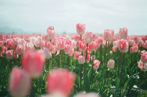 不要踩着别人的脚印,找自己的路 (2)