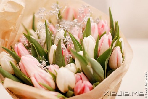 �����������Ľ�ӡ������ӡ������Ţ��·�� (6)