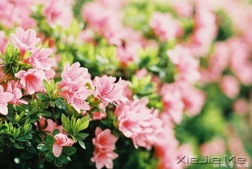 人,总是要醒来的,在某个时刻 (3)