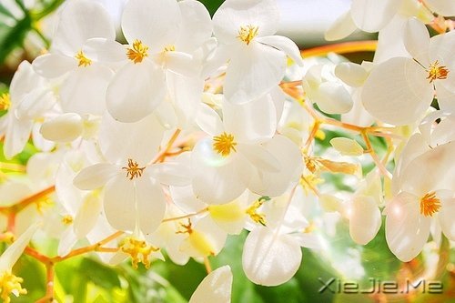 请你善良,无论这世界多冷漠 (6)