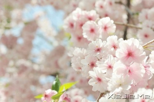 һ�����¹¶����������¹��� (3)