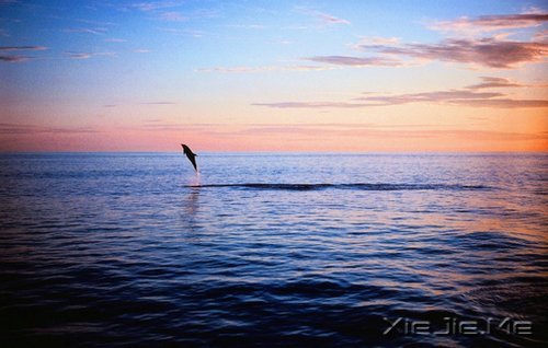 �簲������������Ե��ӵ��һ��ƽ���� (6)