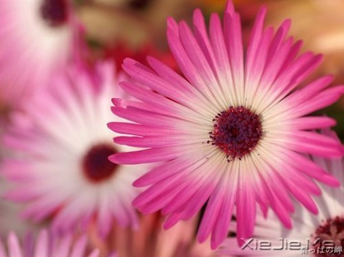 �簲�����һ�����ɣ�ȥ�������� (9)