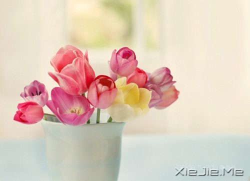 �簲�����Ϊ����Ϊ���ˣ����˲����˵��� (5)