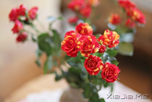 �簲������Լ����������ǣ������Ǳ��������еĿ��� (2)