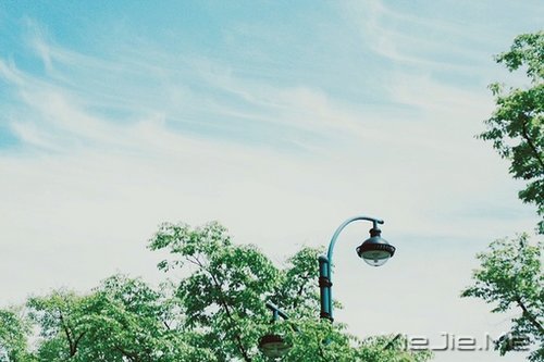 �簲��������������޹أ����Լ���ѡ���й� (8)