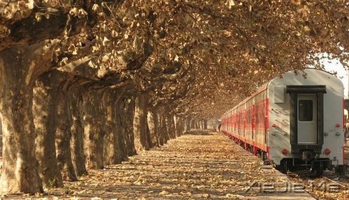 �簲�����ȥ�ľ͹�ȥ�ˣ�������Ȼ���� (4)