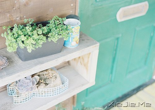 �������ÿһ���ഺ������ϣ�����ϣ�����������һֱ���� (3)