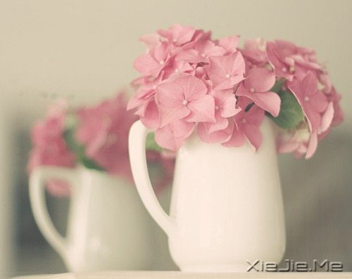 早安心语:我们总是在别人的故事里,流着自己的眼泪 (2)