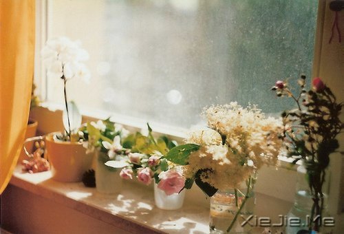 ������������Լ�������һ����Ϊ������� (3)