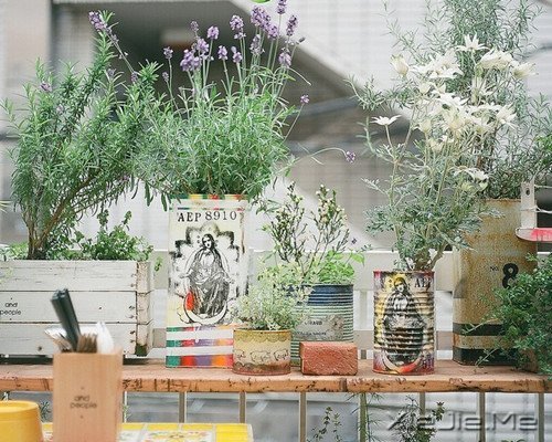 晚安心语:选择最淡的心事,诠释坎坷的人生 (2)