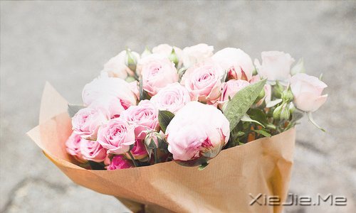 ������������������Ҹ� (1)