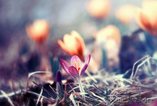 �簲���ʱ���ҧ�ˣ��㲻�߾ͻ������˺� (6)