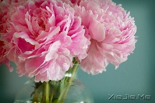 这山长水远的道路,终究是要自己走下去 (5)