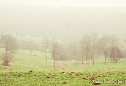 ���Լ�ϲ�������ϲ���Լ��������� (2)