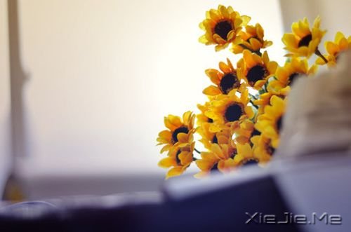 早安心语:人生,就是你一个人的人生 (6)