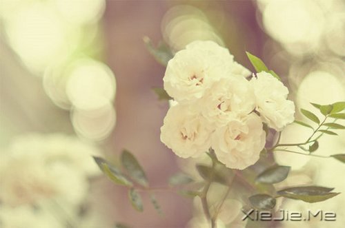 �簲�����Ȼһ�У��������� (8)