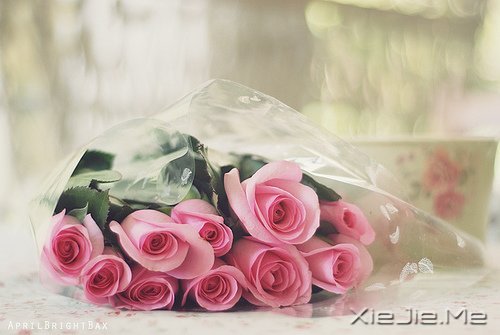 晚安心语:愿细水流年时,地老天荒 (1)