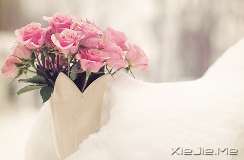 经过人生的荒凉,才能抵达内心的繁华 (4)