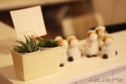 晚安心语:陪伴与懂得,比爱情更加重要 (7)