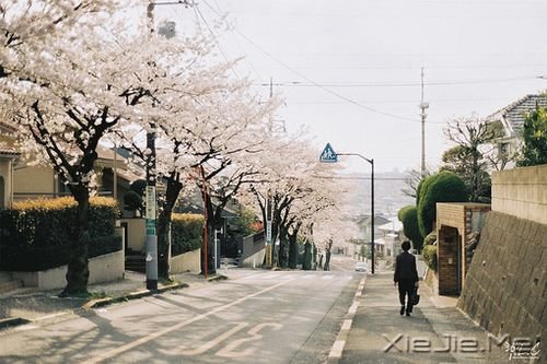 �����������Щ˲�䣬����ů�������� (9)