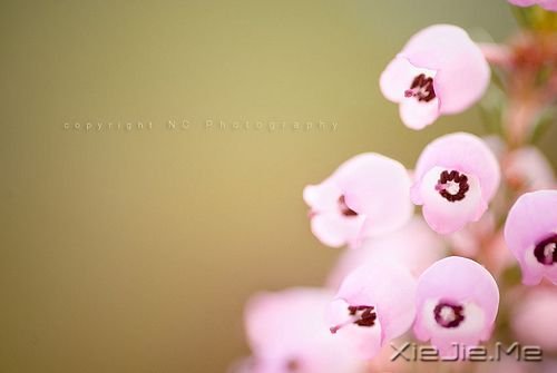 晚安心语:最好的幸福,是你给的在乎 (6)