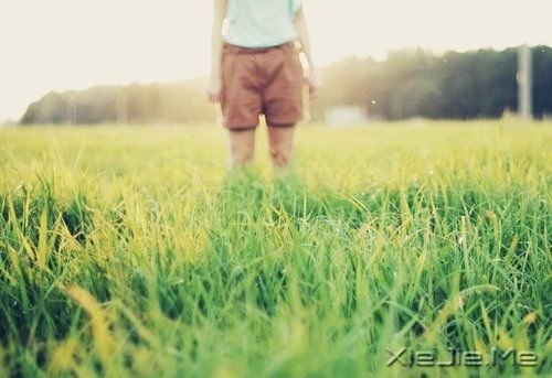 �簲������һ���ǻ��䣬һ���Ǽ��� (7)