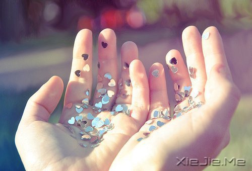 �簲���һ����£�������� (5)