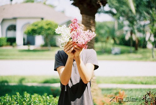 早安心语:坚强向上,靠近阳光 (1)