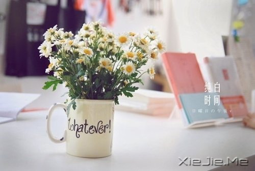 早安心语:成为自己想成为的人,这从来不迟 (1)