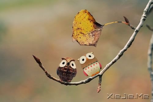 晚安心语:你可以说服所有人,却说服不了自己的心 (10)