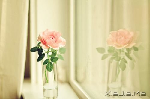 早安心语:幸福就是良好的健康加上糟糕的记性 (8)