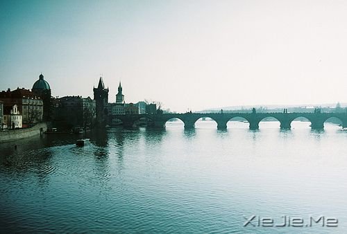 晚安心语:不要因为一时的心烦,做出一辈子的傻事 (6)