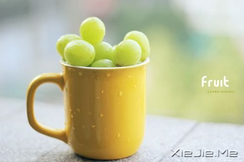 早安心语:千万个美丽的未来,抵不上一个温暖的现在 (3)