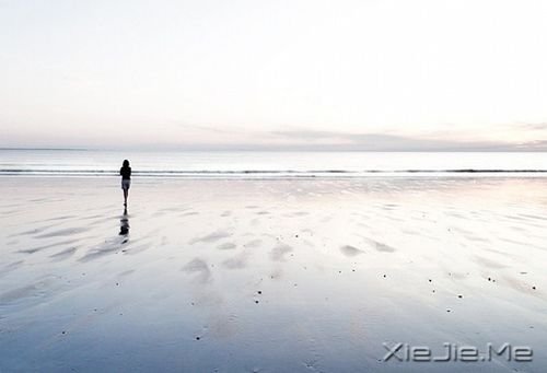 早安心语:逆风的方向,更适合飞翔 (5)