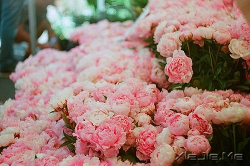 晚安心语:带上最美的笑容且行且珍惜 (8)