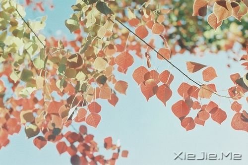 �簲��������Լ��ȶ������ˣ�����Ҫ (1)