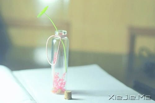 早安心语:你这么害怕明天,怎能过好今天 (3)